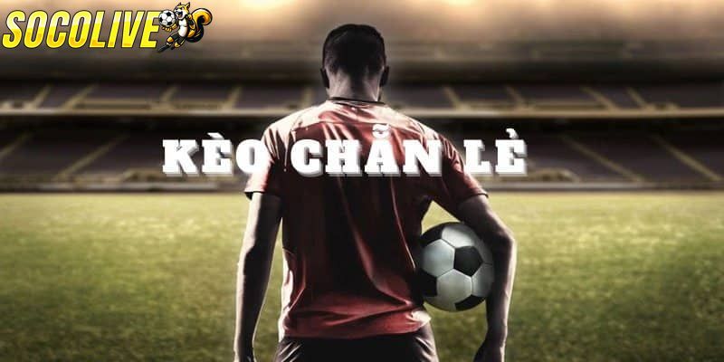 Chơi kèo chẵn lẻ mang đến cơ hội thưởng lớn