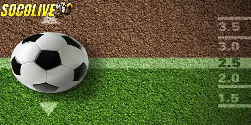 Chọn đội bóng mạnh