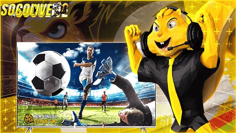 Đội ngũ BLV của Socolive TV thực sự xuất sắc