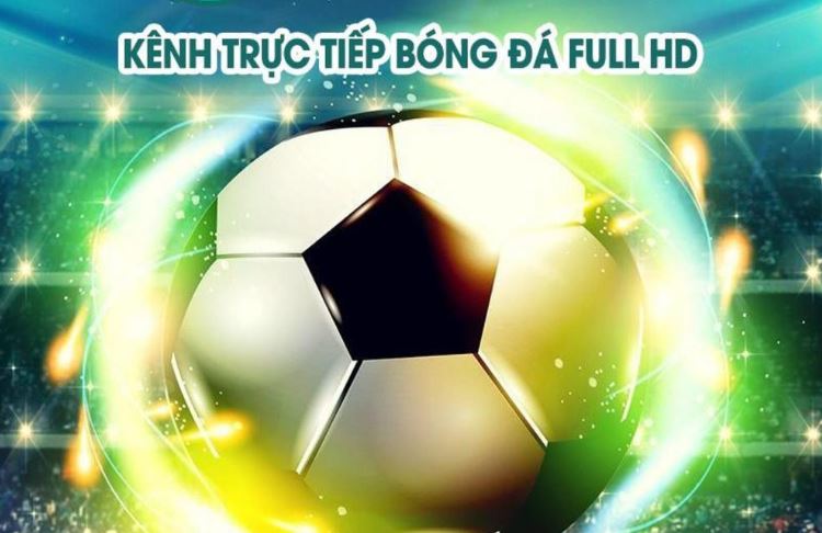 Sơ lược thông tin giới thiệu về web Vebo TV